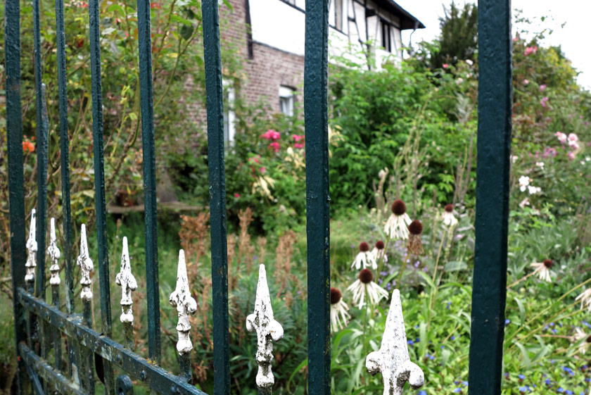 Moderner Bauerngarten mit Rosen und Prärie-Igelkopf – Gartengestaltung in Kerken. Moderner Bauerngarten mit Rosen und Prärie-Igelkopf in einem Privatgarten in Kerken.