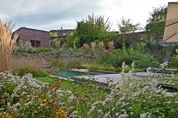 Über die Weiße Wald-Aster hinweg rückt das Garten-Reitgras oberhalb der Trockenmauer am Pool in den Vordergrund. Foto: Ira Lenzen Über die Weiße Wald-Aster hinweg rückt das Garten-Reitgras oberhalb der Trockenmauer am Pool in den Vordergrund.
