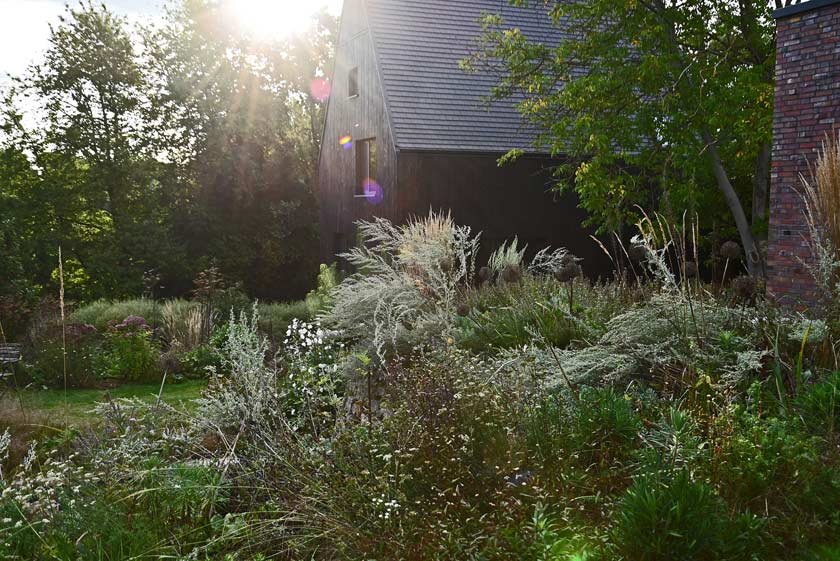Der Blick hinab zum Haus entlang Absinth und Garten-Reitgras. Foto: Ira Lenzen Der Blick hinab zum Haus entlang Absinth und Garten-Reitgras.