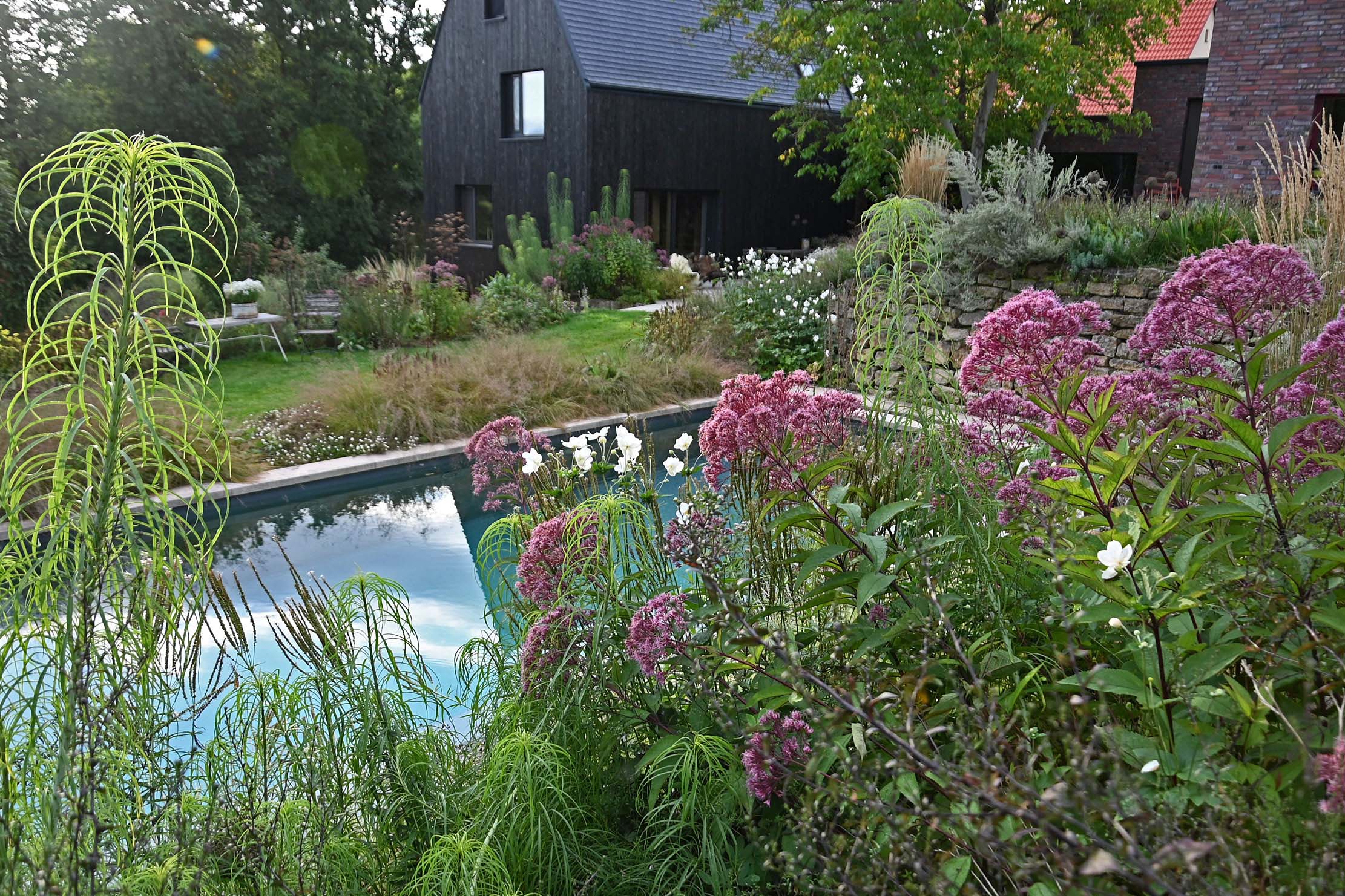 Familiengarten Thalbürgel – Pool, Stauden und harmonische Gestaltung Foto: Ira Lenzen Familiengarten Thalbürgel mit Swimmingpool, abwechslungsreichen Staudenbeeten und sorgfältig gestalteten Pflanzungen