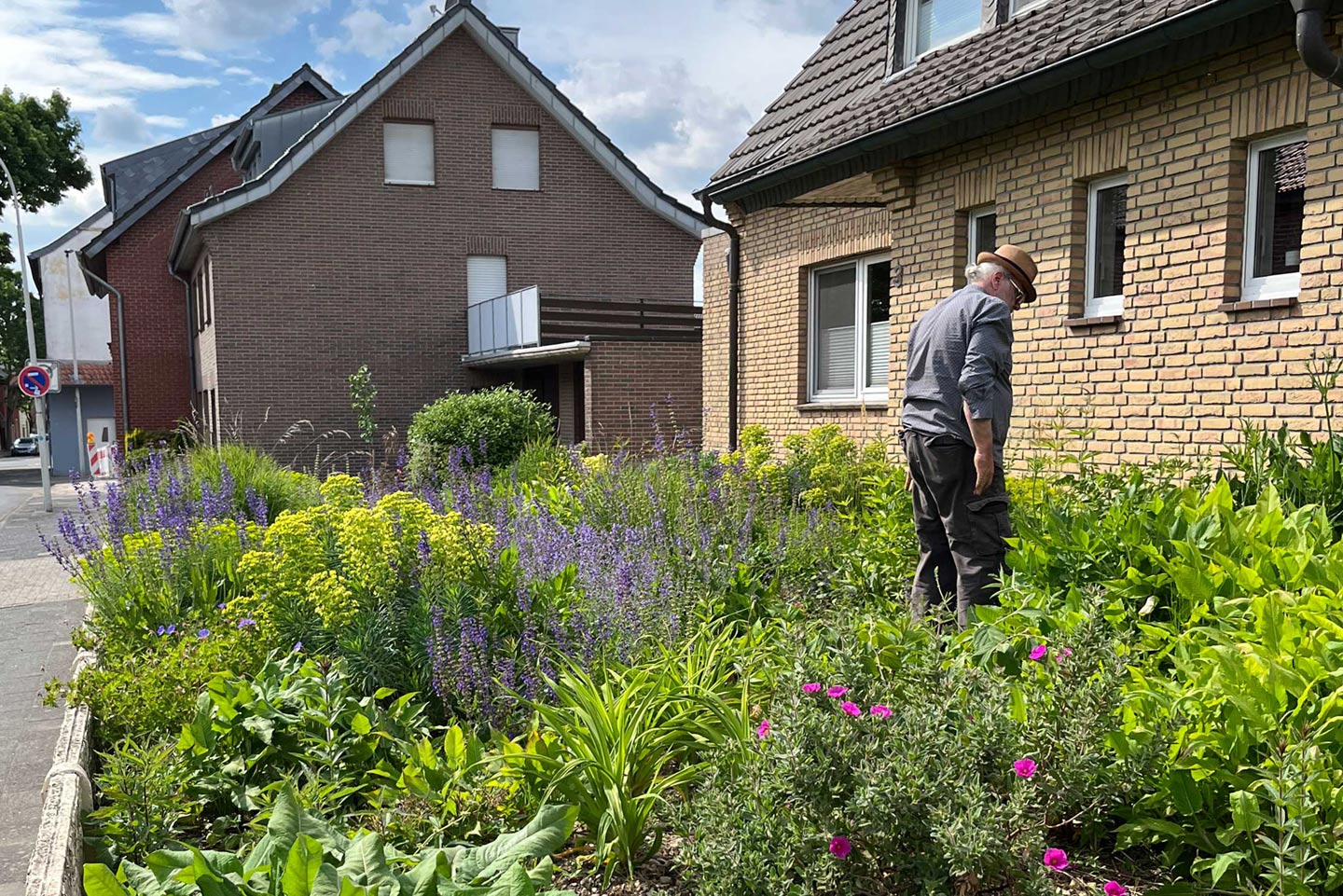 Vorgarten mit Staudenvielfalt – minimaler Pflegeaufwand Pflegeleichter Vorgarten bepflanzt mit Stauden - Gartengestaltung in Nettetal